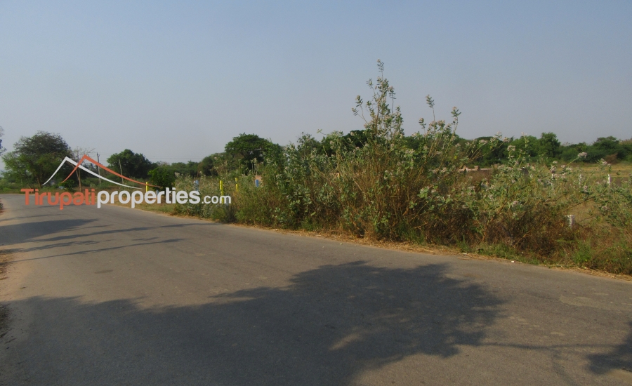 158 Anks West Facing #CommercialLand for Sale Near Nennoor, #Tirupati